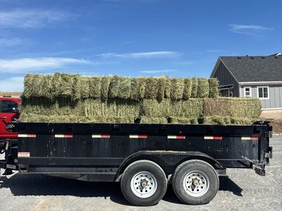 Alfalfa grass hay mix