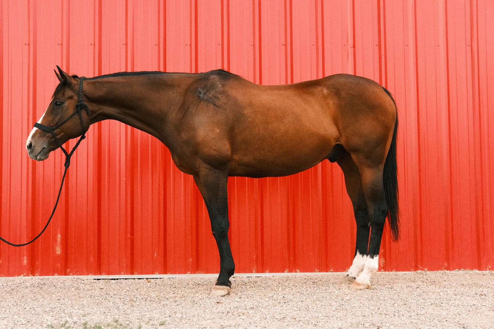 Main image 4