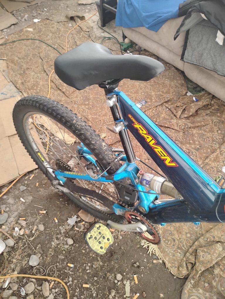 cannondale raven carbon fiber