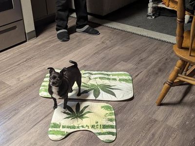 Smokin in the boy's room