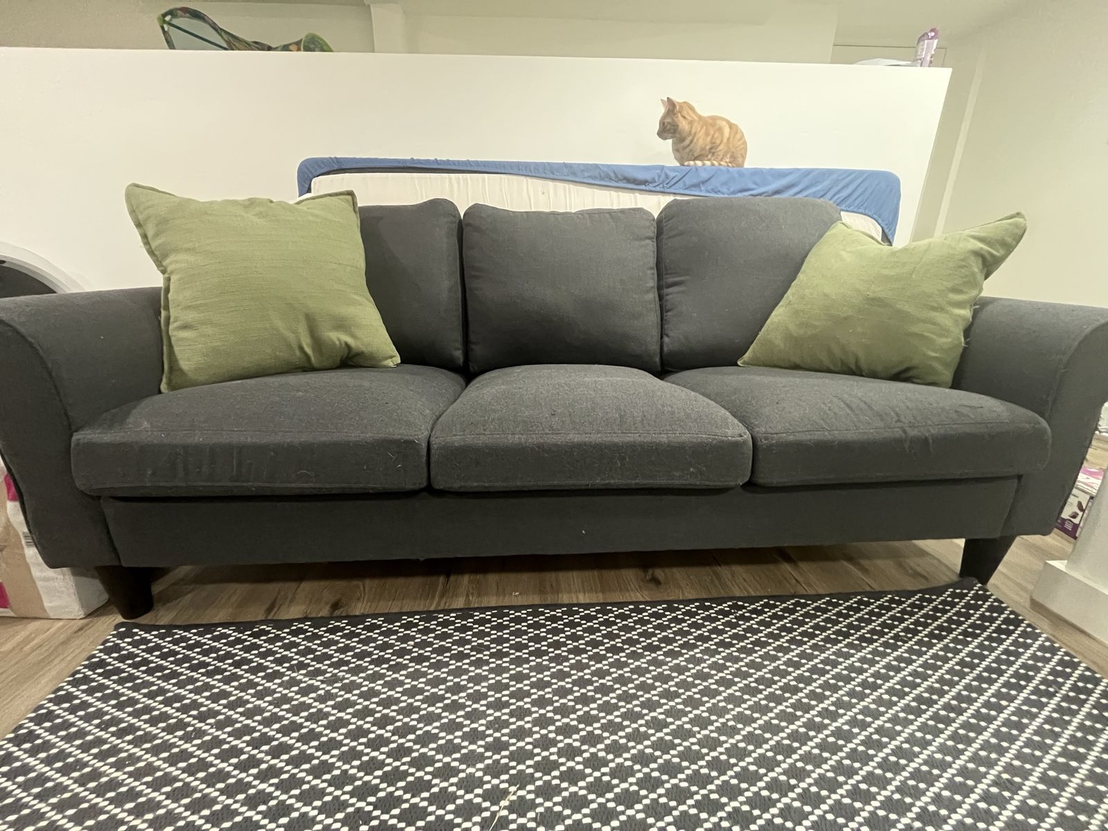 *FREE* IKEA Couch