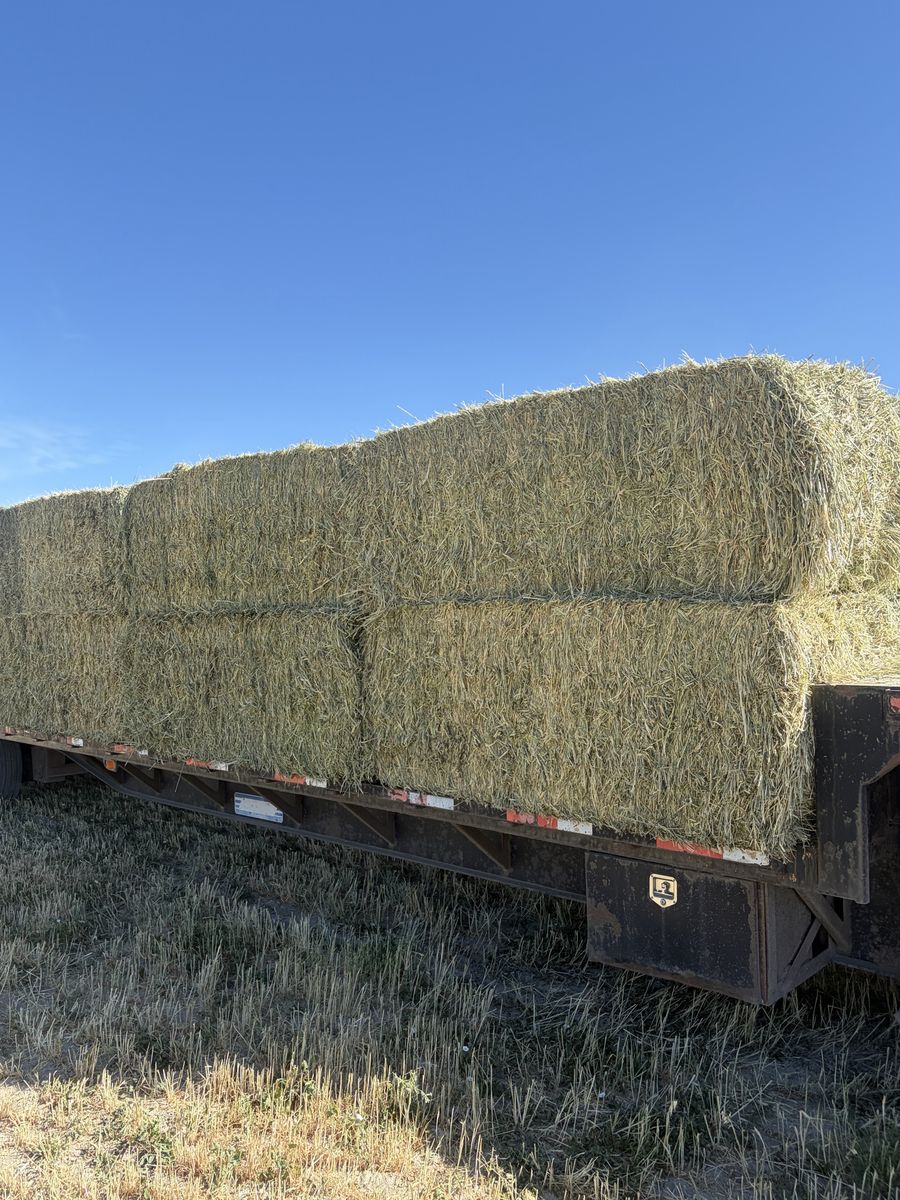 3x3 3 way HAY