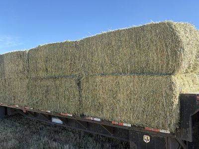 3x3 3 way HAY
