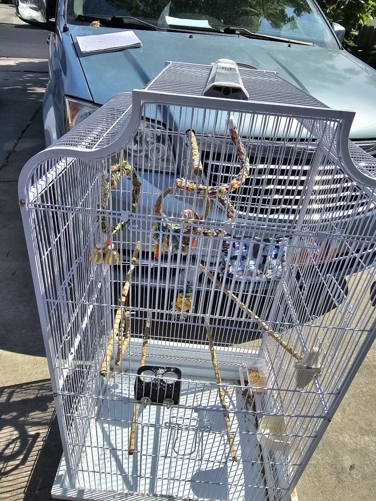 Main image 4