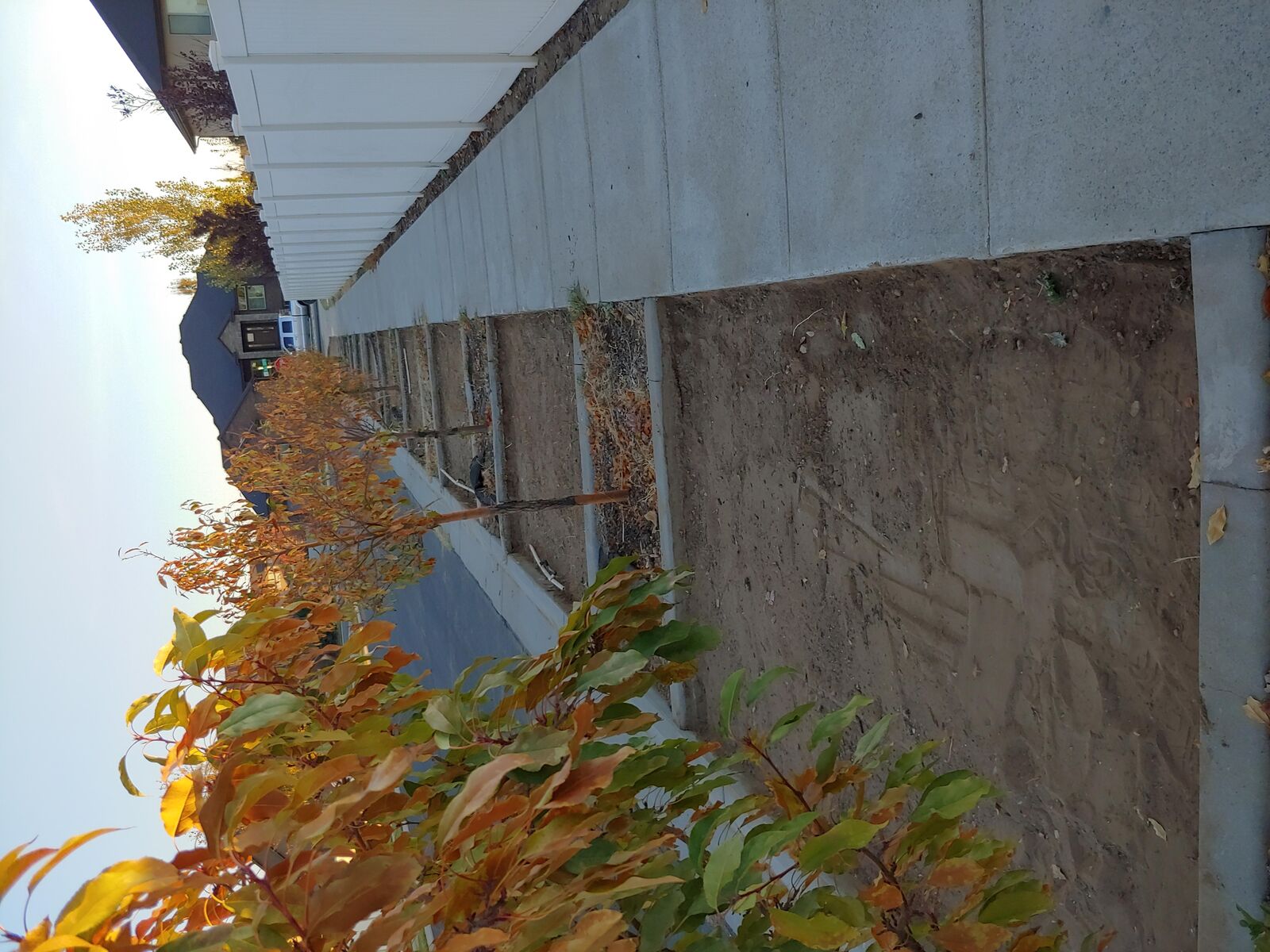 JPVega Construction And Landscaping Services