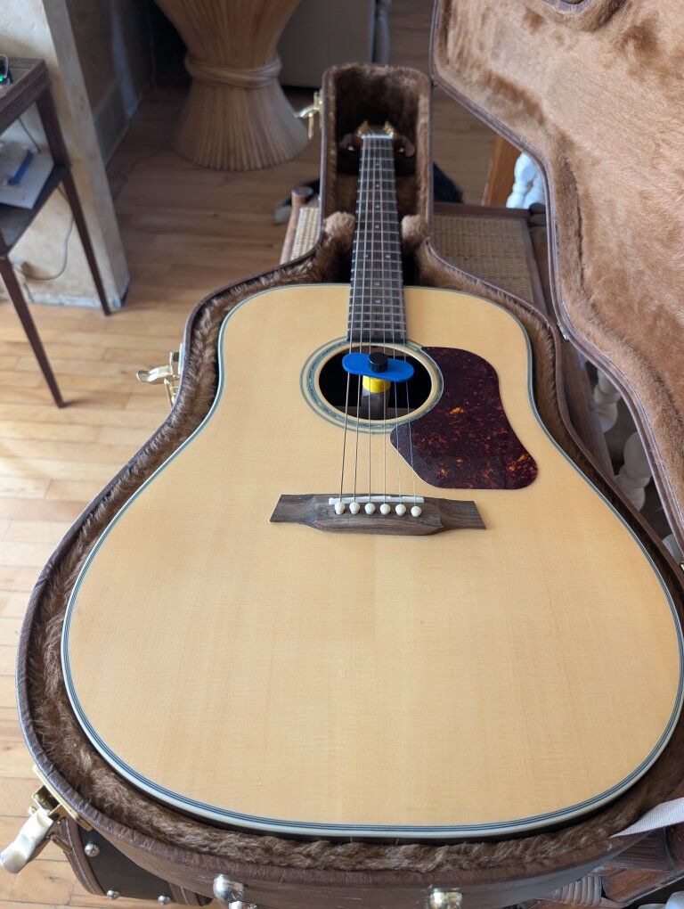 Walden D710 acoustic guitar