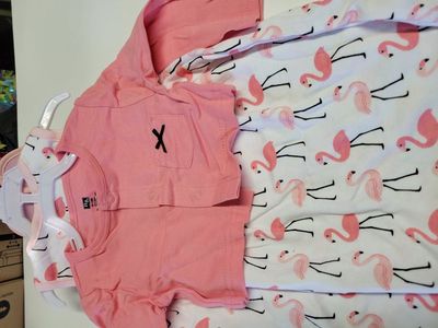 Baby flamingo dress & cardigan, shoes $5 9-12 mths