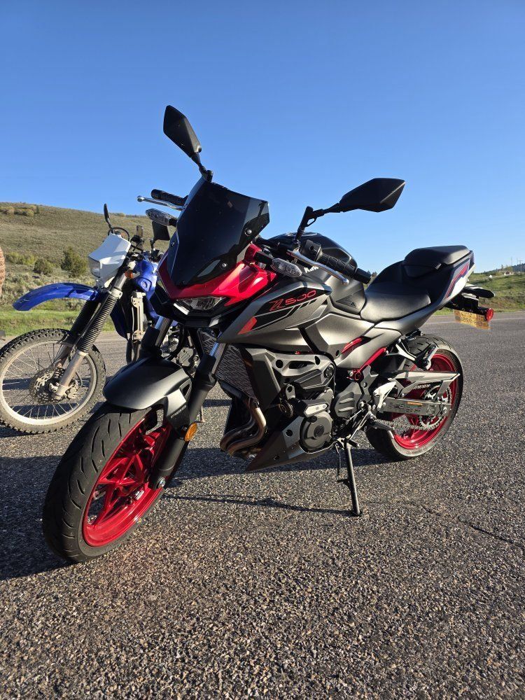 2025 Kawasaki Z500 SE (ABS)