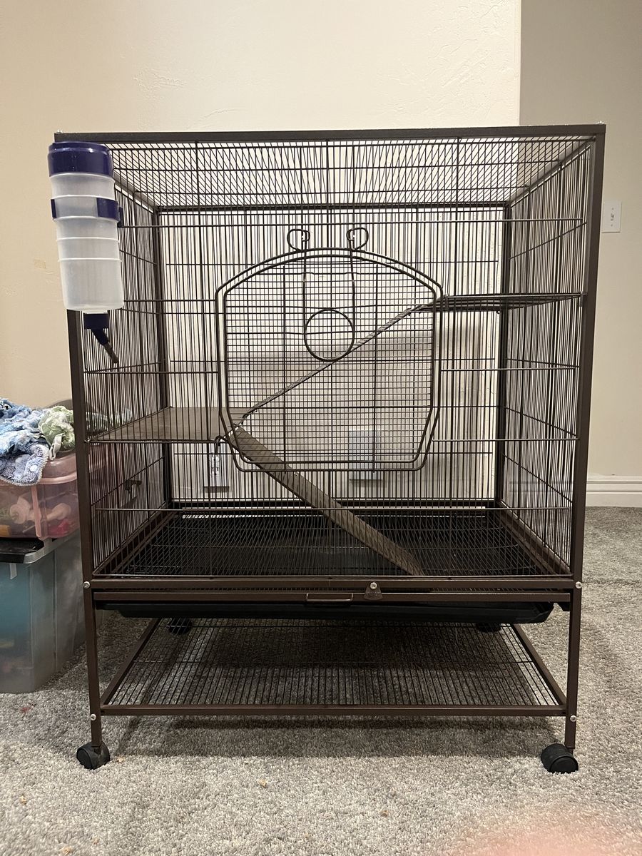 Rat cage