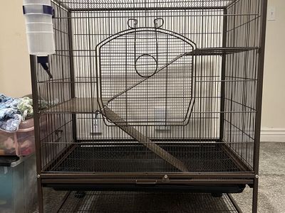 Rat cage