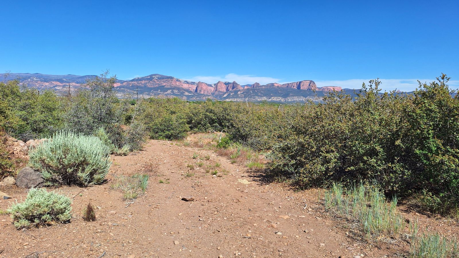 Main image 6