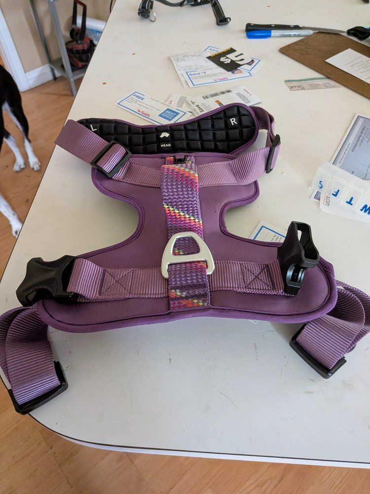 large dog harness