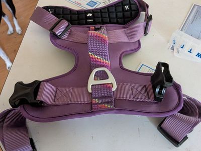 large dog harness