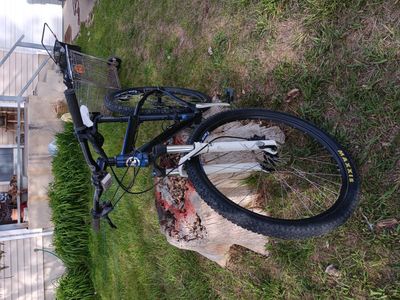 29inch mountain bike