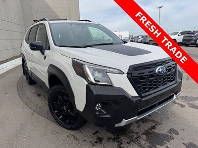 2024 Subaru Forester Wilderness