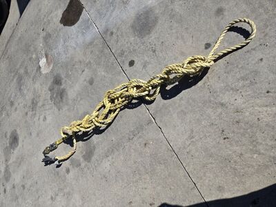 Guardian fall protection