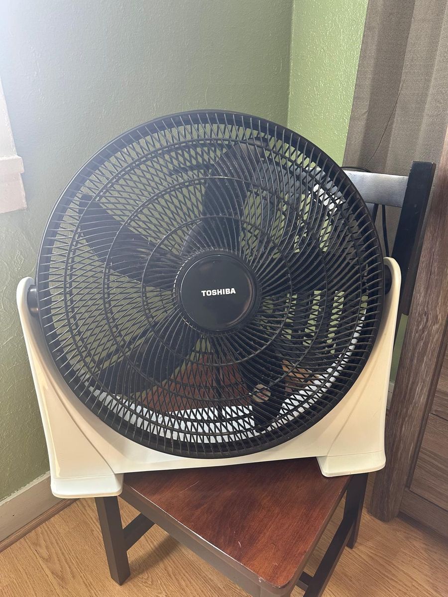 Fan