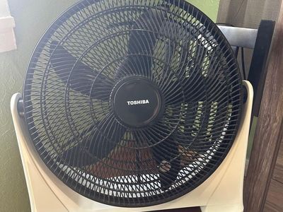 Fan
