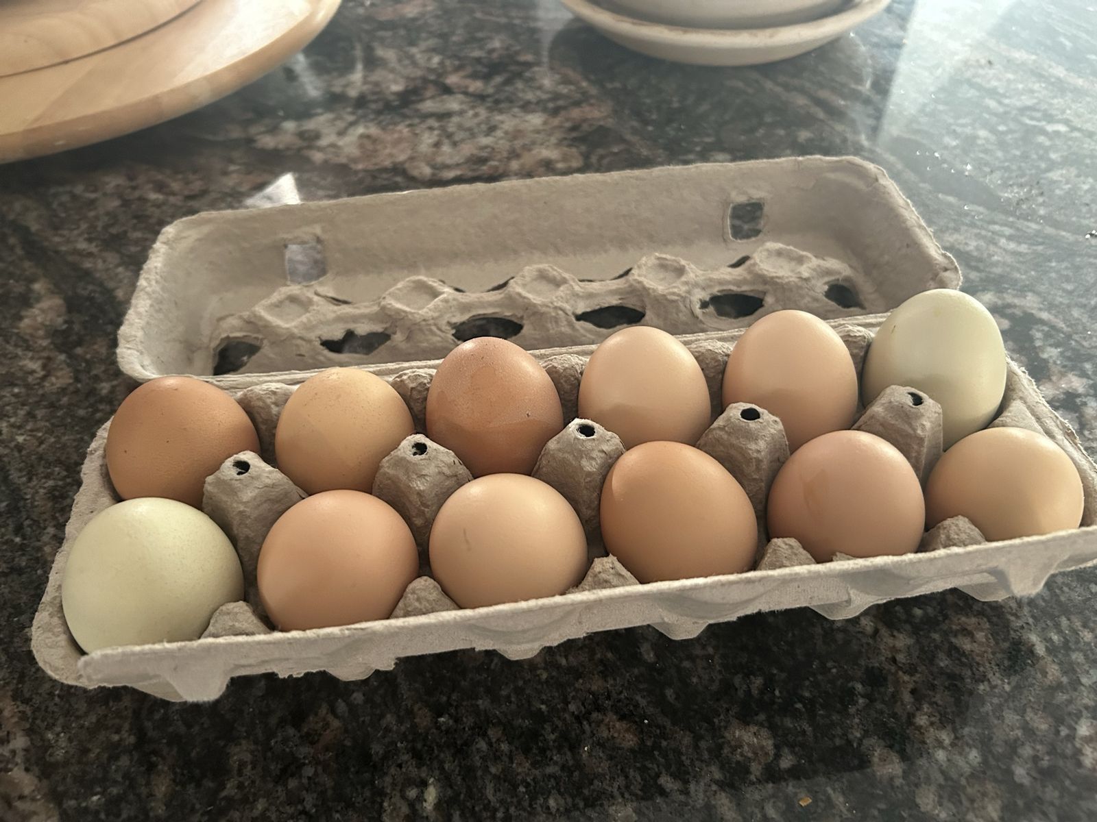Fresh Eggs