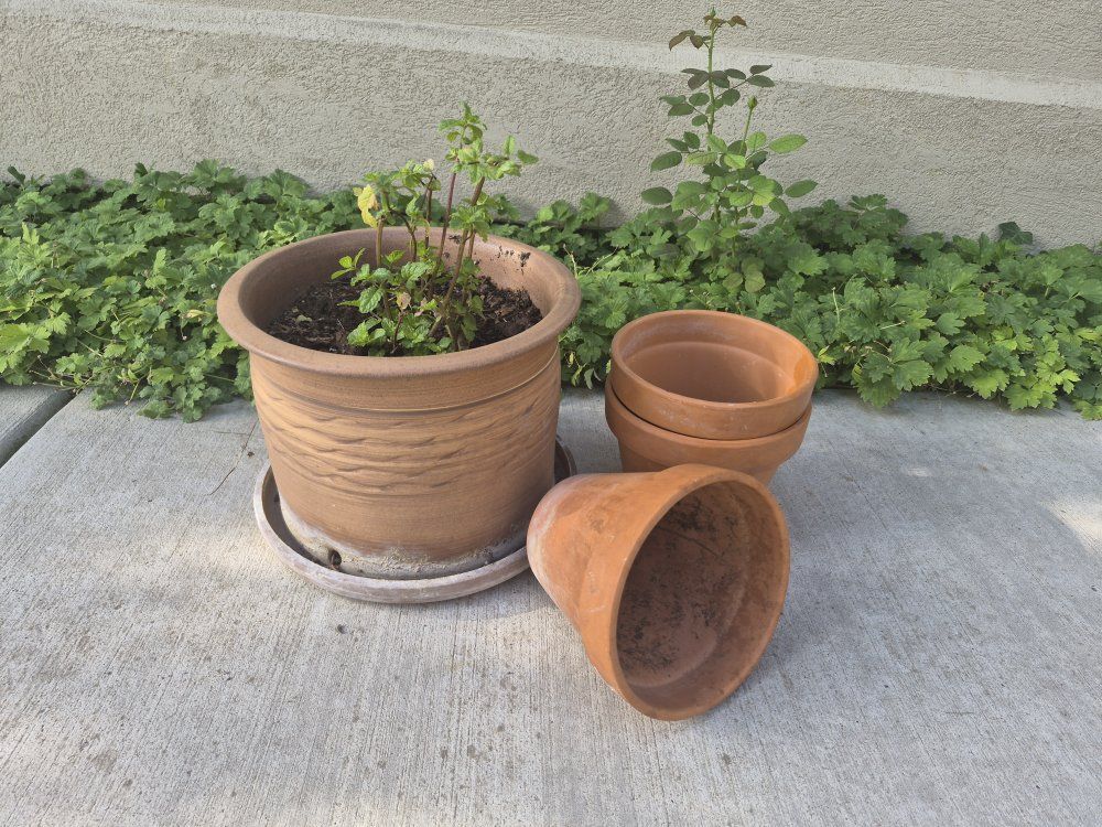 Set of 4 Terracotta Plant Pots - Large Planter & 3 Standard Pots