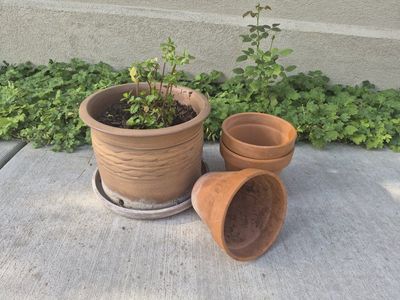 Set of 4 Terracotta Plant Pots - Large Planter & 3 Standard Pots