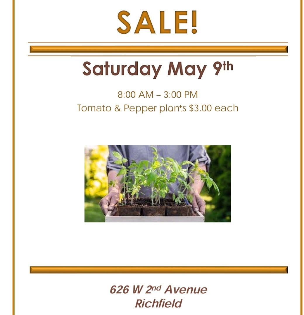 Richfield Pepper and Tomato Plant Sale - $3 Each