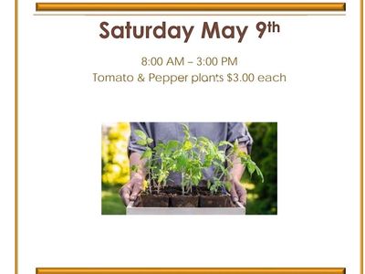 Richfield Pepper and Tomato Plant Sale - $3 Each