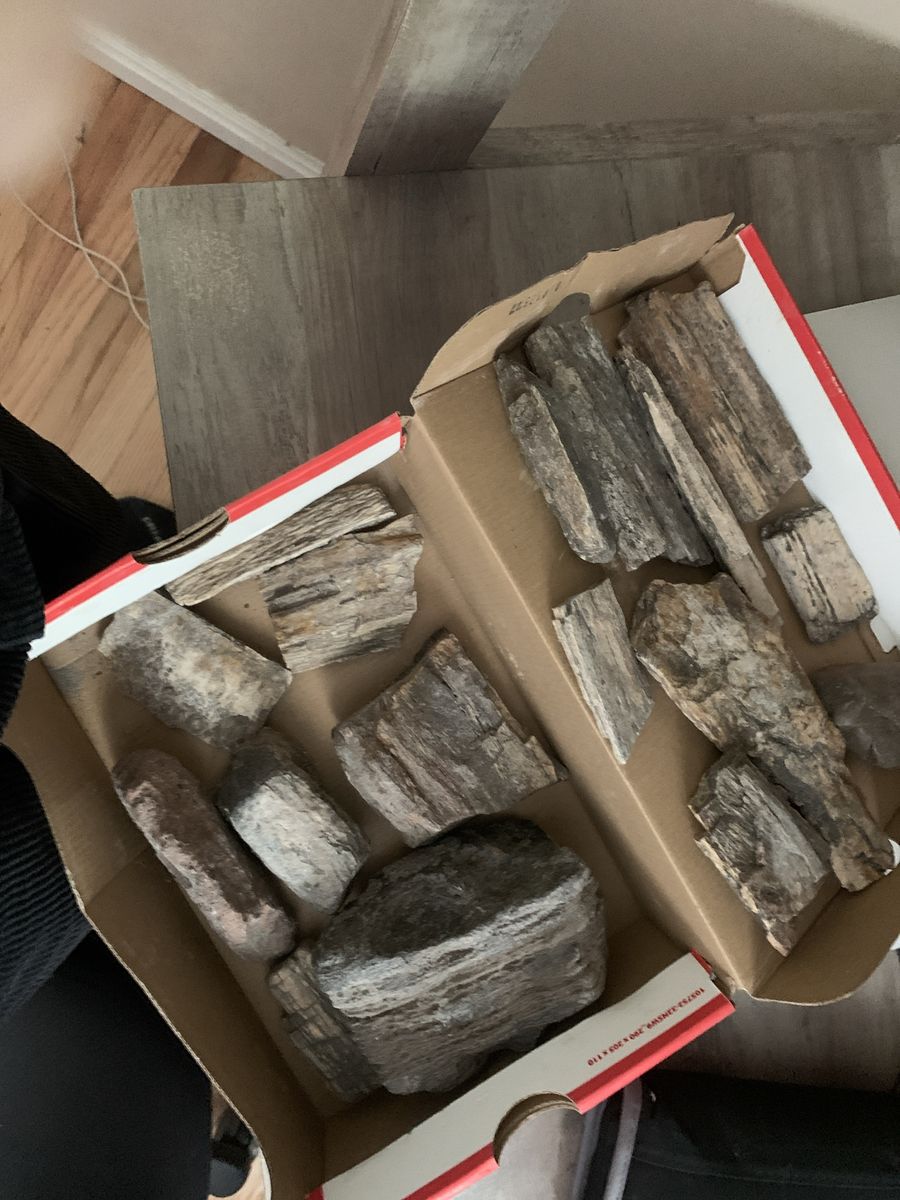 Petrified wood CHEAP