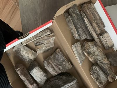 Petrified wood CHEAP