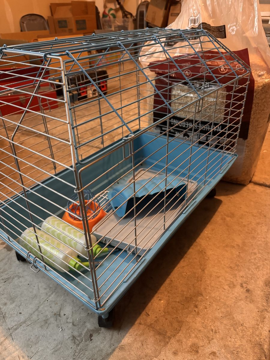 Guinea Pig Cage