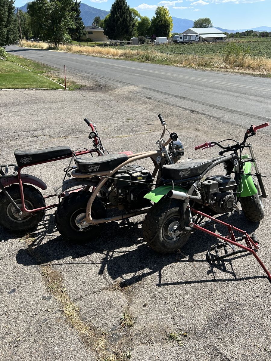 Coleman mini bikes, three for $1200 or best offer