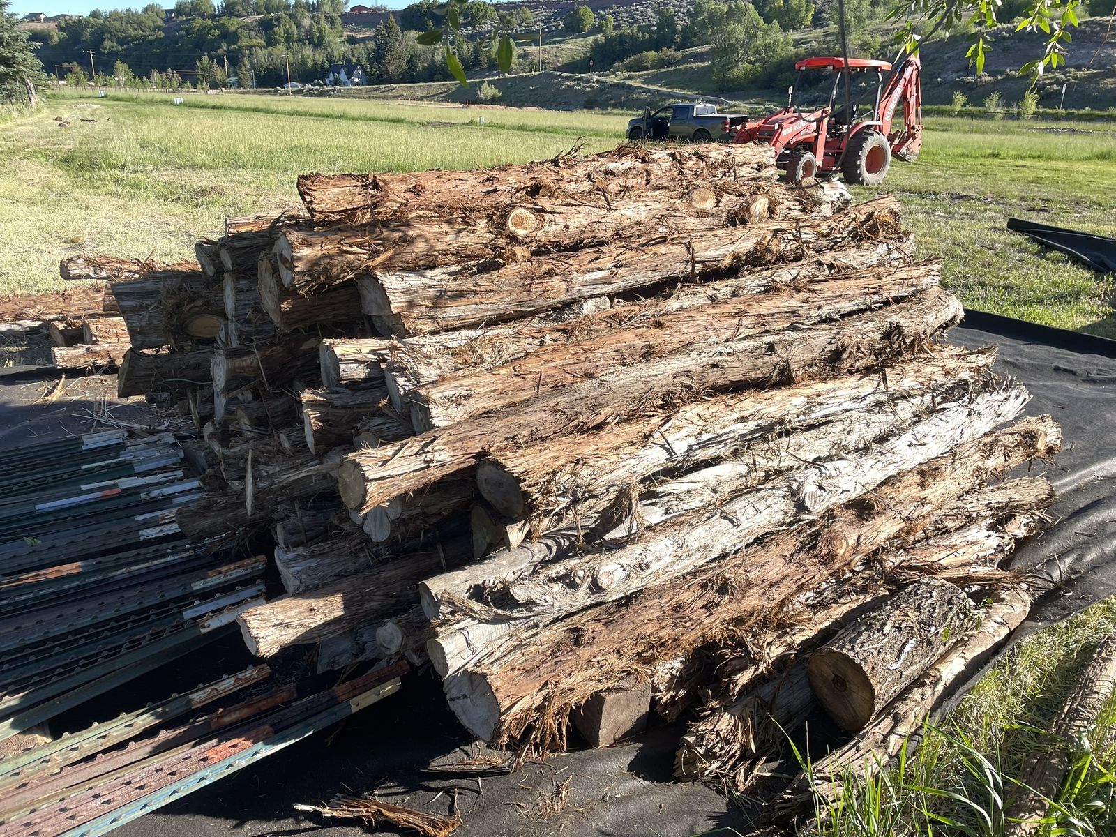 Cedar Posts