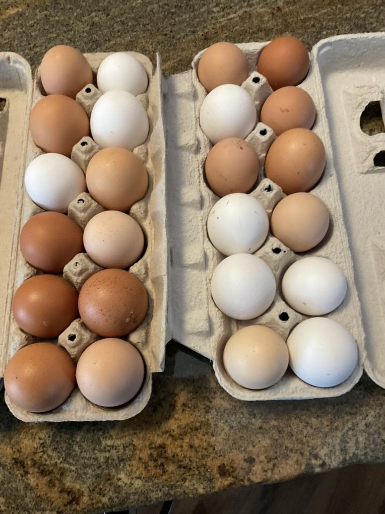 Farm Fresh Eggs