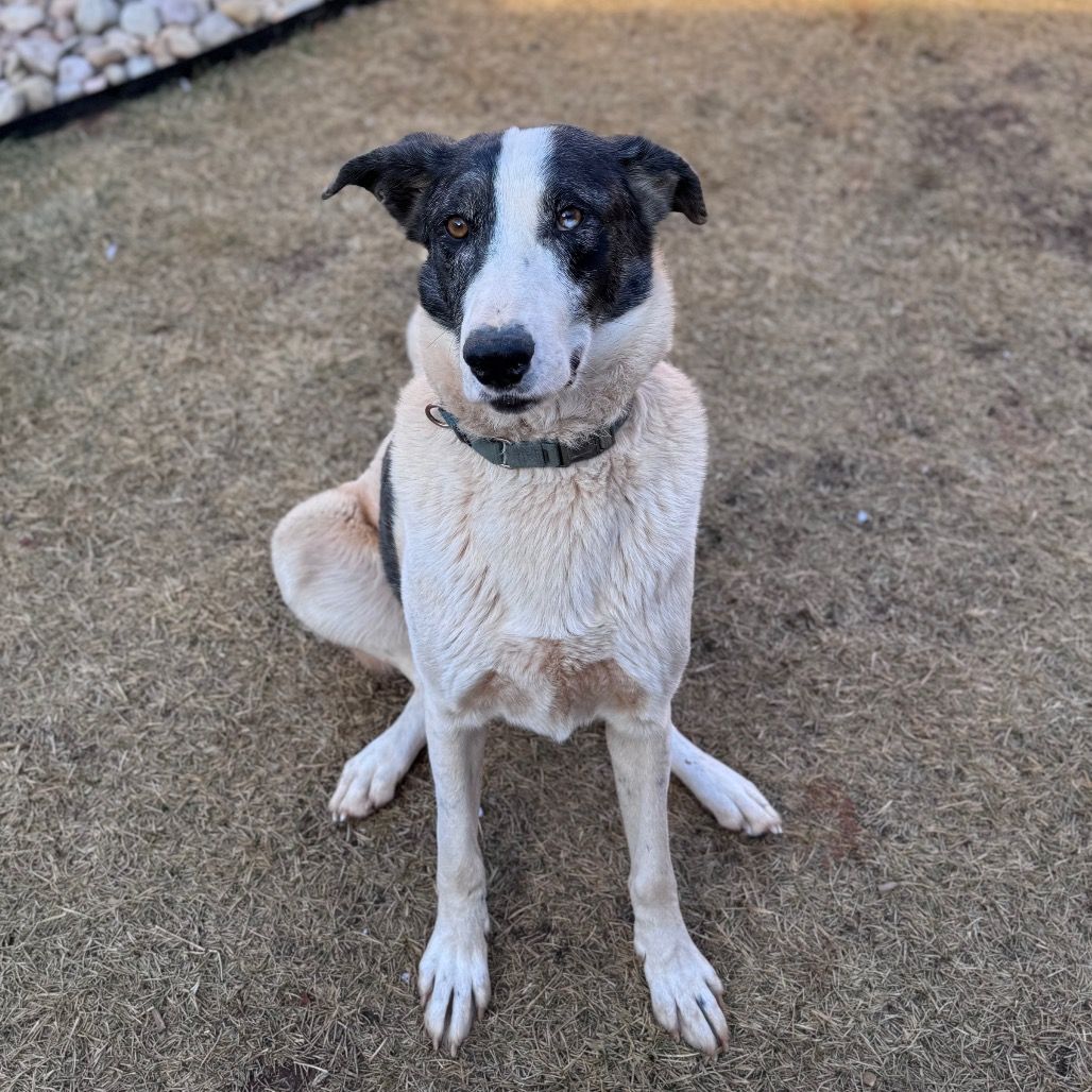 Hello my name is Therman