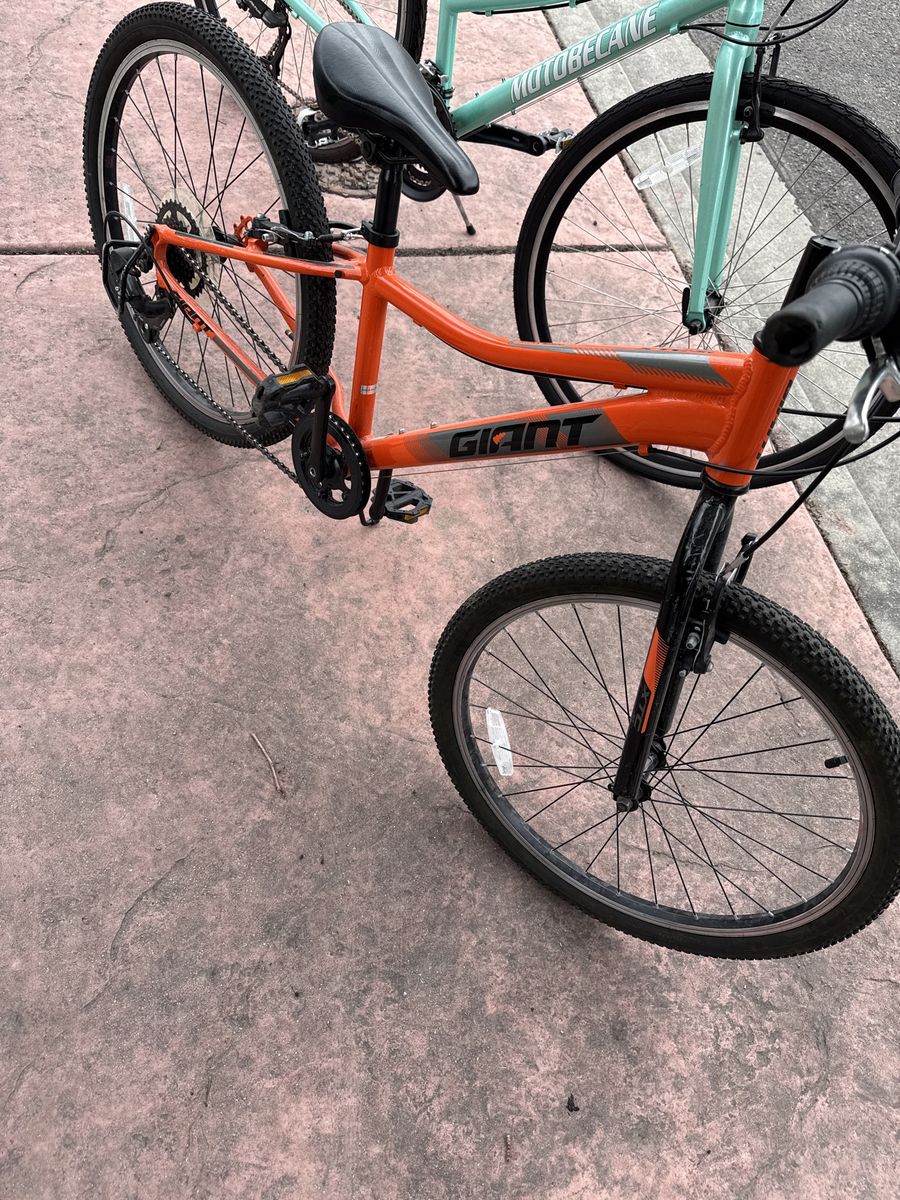 24 inch tires Giant kids Bike