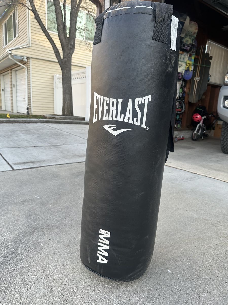 Everlast MMA Punching Bag