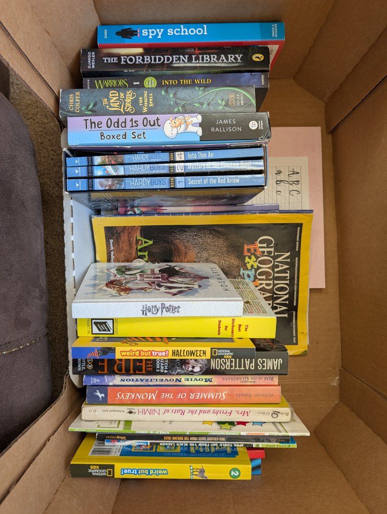 Mixed Children's Book Lot: Spy School,  Hardy Boys, National Geographic & More