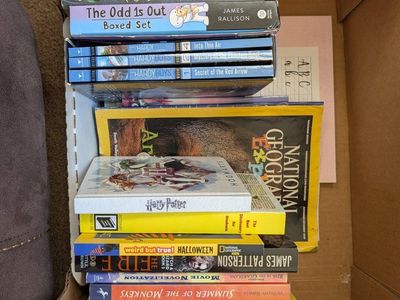 Mixed Children's Book Lot: Spy School, Hardy Boys, National Geographic & More