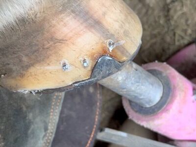 Horse Shoeing