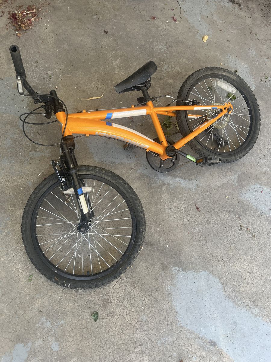 Diamondback Cobra 20 Junior Mountain Bike