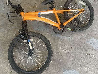 Diamondback Cobra 20 Junior Mountain Bike