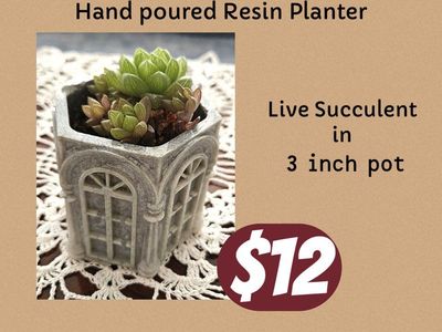 Unique Architectural Cement Succulent Planter Pot - Decorative Window Design