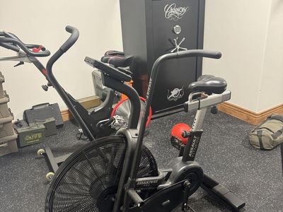 Assault Bike Pro