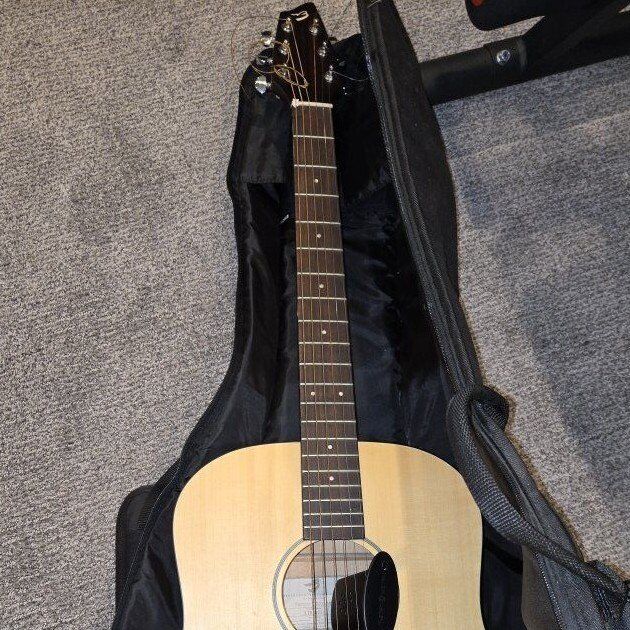 Breedlove Acoustic Guitar-obo