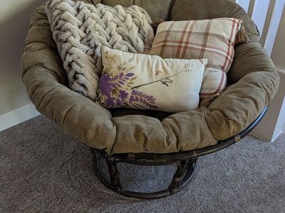World Market Papasan (Frame and Cushion)