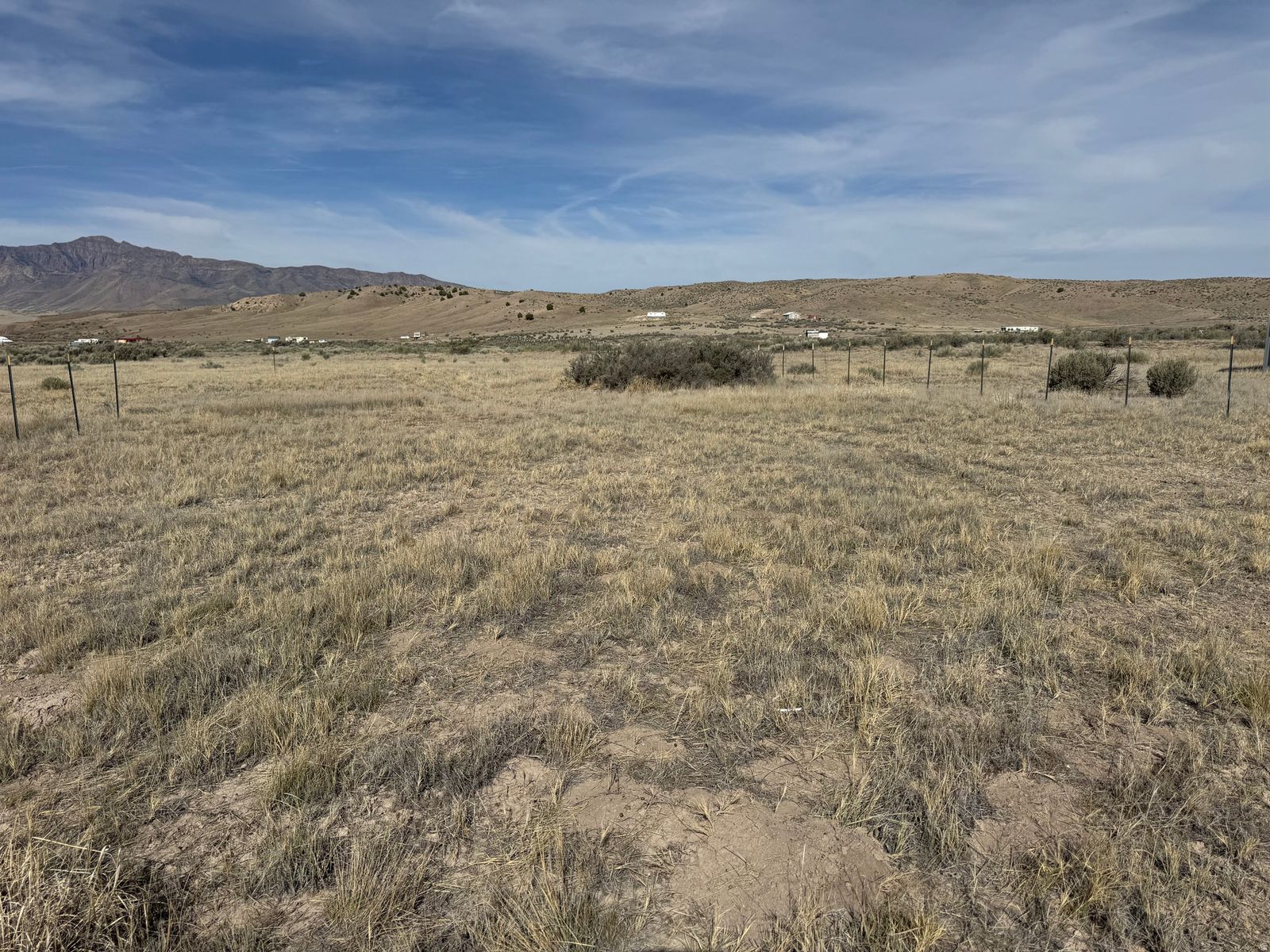 Main image 10