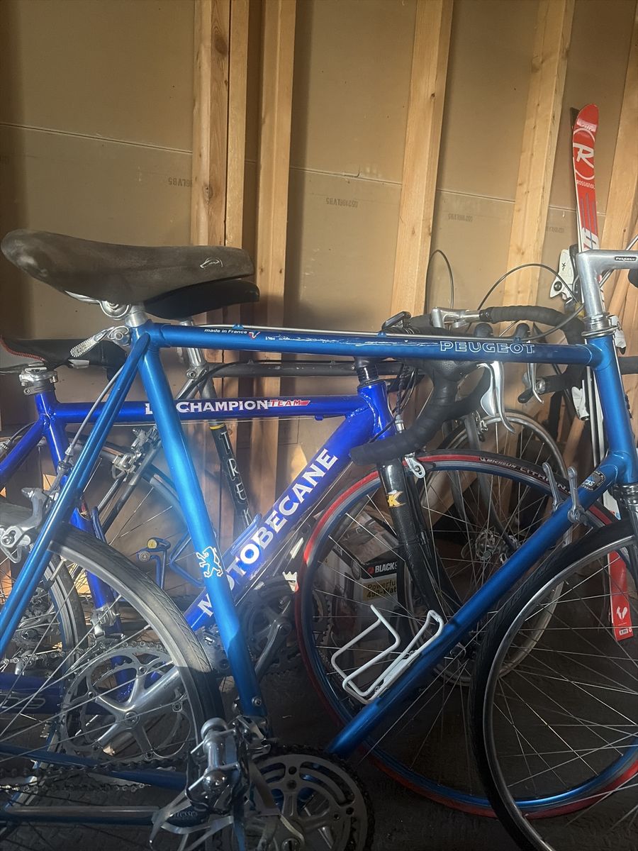 Vintage bike collection