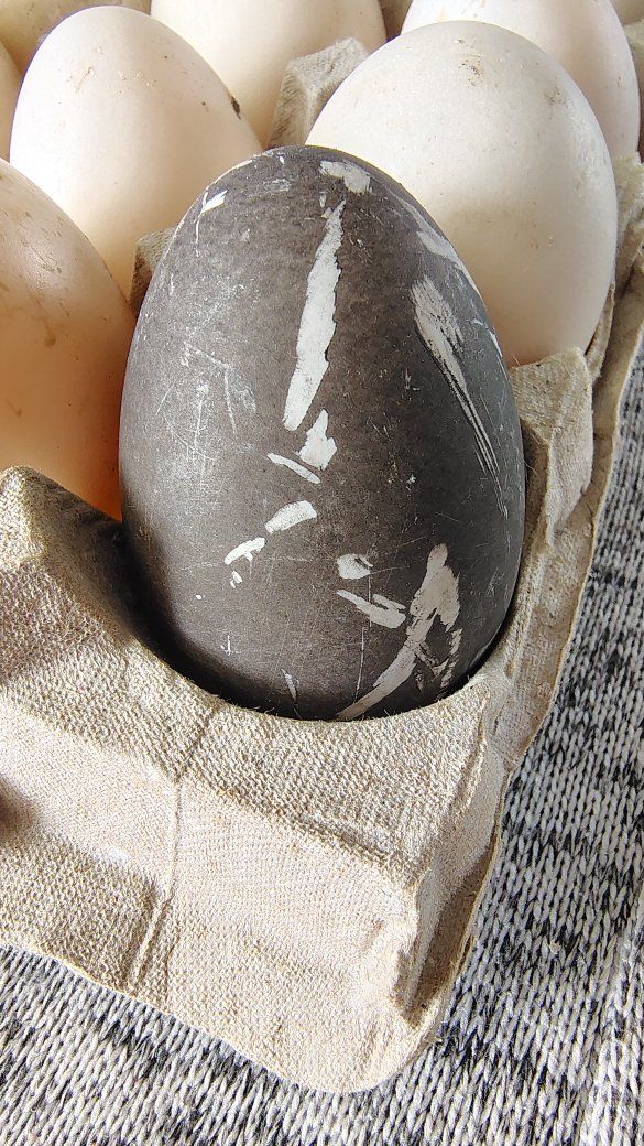 Main image 13