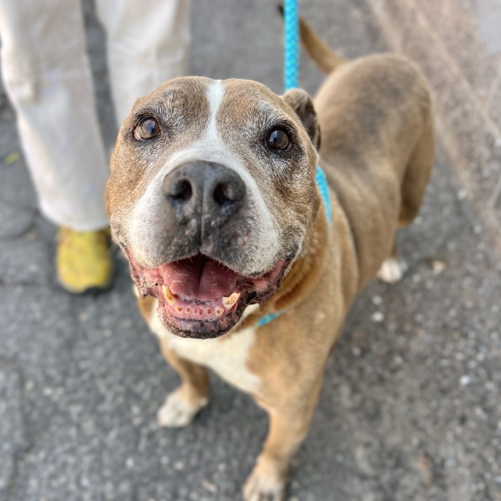 Hello my name is Albie