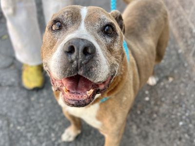 Hello my name is Albie